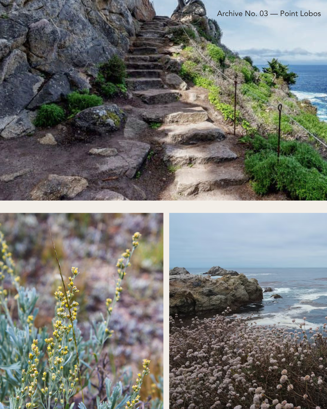 Point Lobos